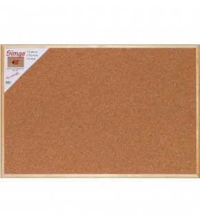 Simge Mantar Pano 45x60 0136