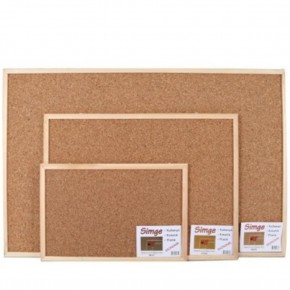 Simge Mantar Pano 60x90 0137