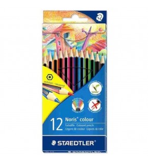 Staedtler Kuru Boya Norıs Color 12 Lİ 185 C12