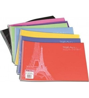 Tigra Resim Defteri Spiralli Plastik Kapak 25 Yaprak 35x50 TR-002 (1 Adet)