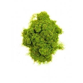 Toz Çim 25gr 501 Açık Yeşil