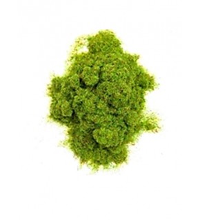 Toz Çim 25gr 501 Açık Yeşil