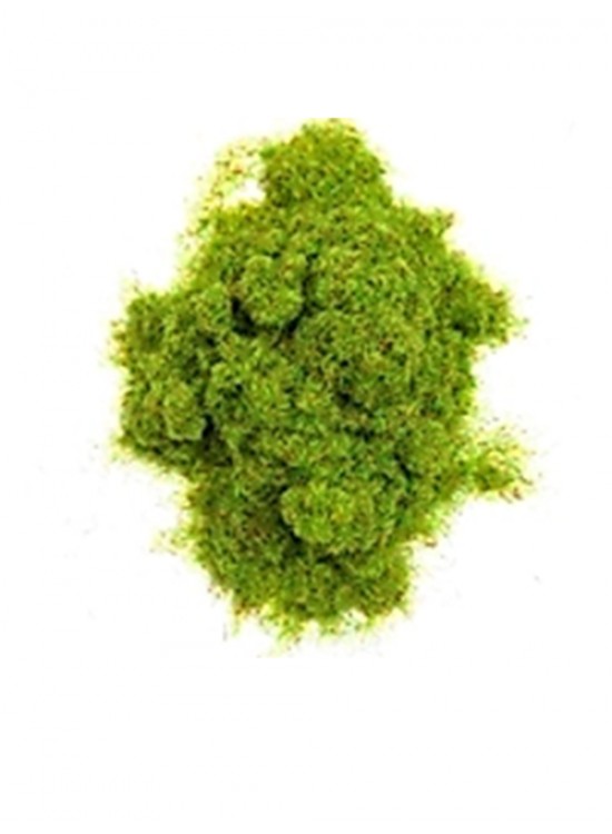 Toz Çim 25gr 501 Açık Yeşil Toz Çim 25gr 501 Açık Yeşil