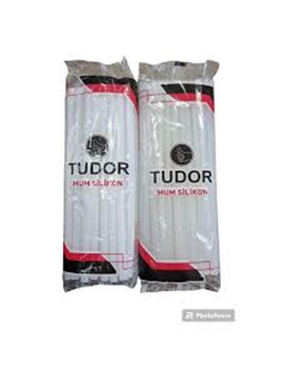 Tudor Macrofix Mum Silikon Kalın 1KG