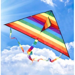 Üçgen Uçurtma Misinalı