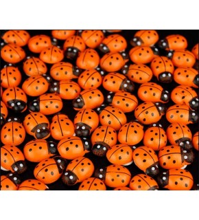 Uğur Böceği 12Mm Turuncu 100 Lü U3487