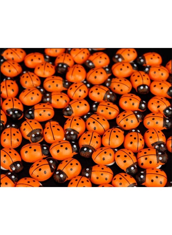 Uğur Böceği 12Mm Turuncu 100 Lü U3487 Uğur Böceği 12Mm Turuncu 100 Lü U3487