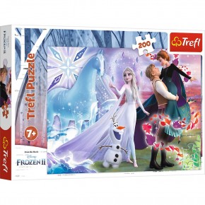 Vardem 200 Parca Frozen 2