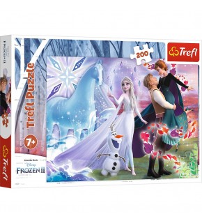 Vardem 200 Parca Frozen 2