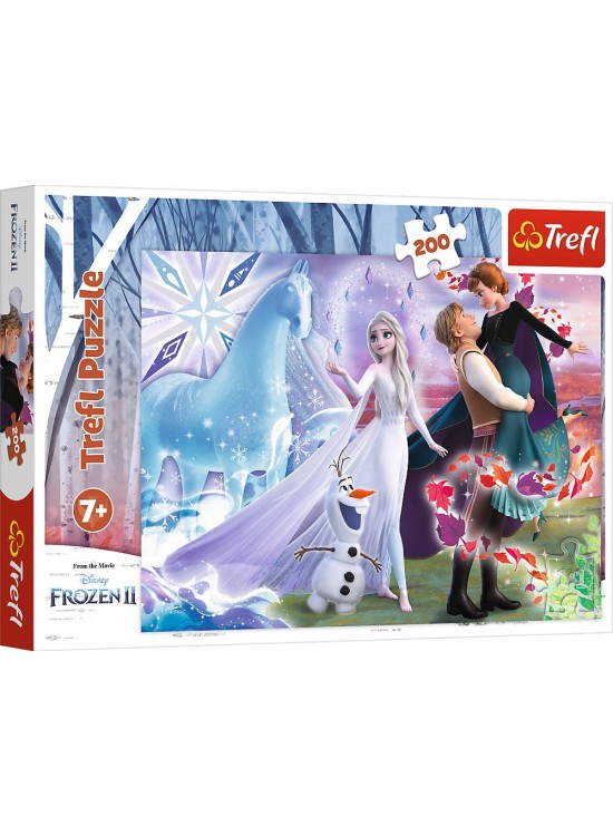 Vardem 200 Parca Frozen 2