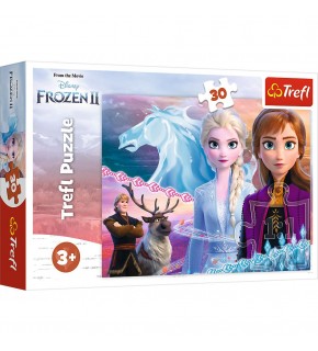 Vardem 30 Parca Frozen 2