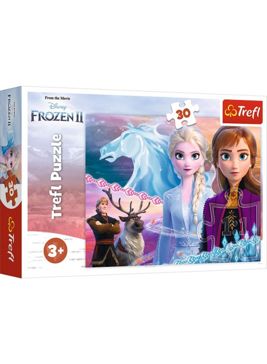 Vardem 30 Parca Frozen 2 Vardem 30 Parca Frozen 2