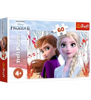 Vardem 60 Parca Frozen 2