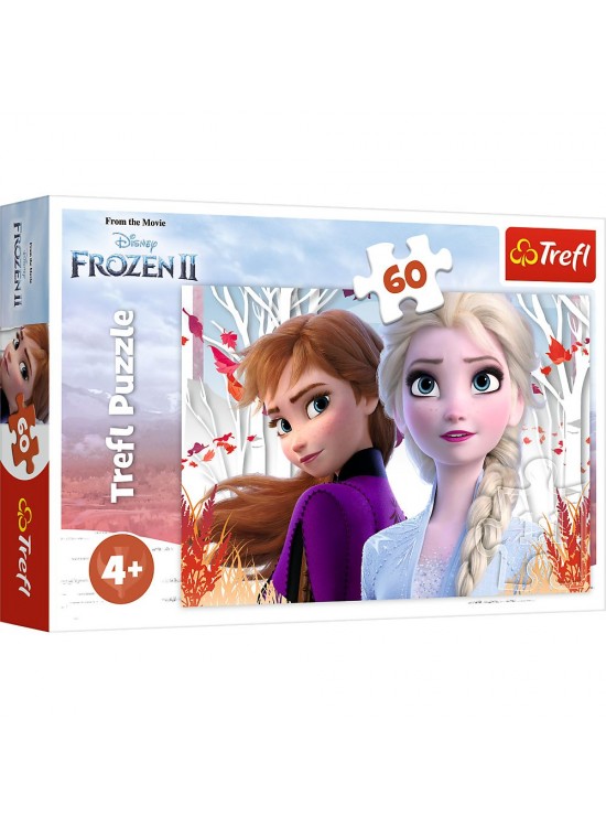 Vardem 60 Parca Frozen 2