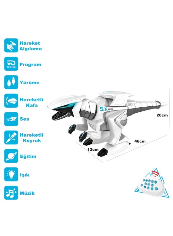 Vardem Oyuncak Uzaktan Kumandalı Şarjlı Etkil Işıklı Müzikli Robot VRD-G17