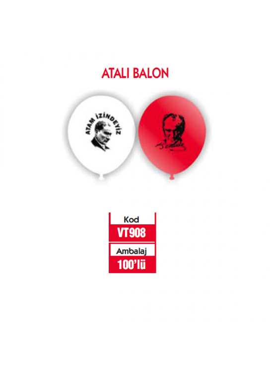 Vatan Balon Atam İzindeyiz 100 LÜ VT908