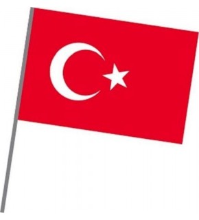 Vatan Bez Bayrak Sopalı 20x30 VT225