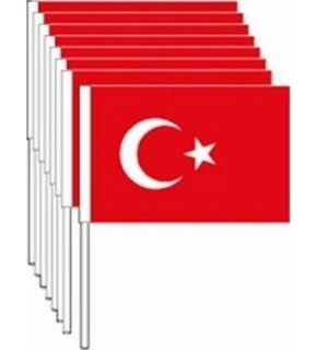 Vatan Kağıt Bayrak Türk Çıtalı 40 LI Battal VT803