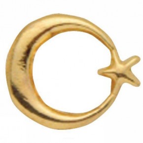 Vatan Rozet Ayyıldızlı Prinç VT634 (1 Adet)