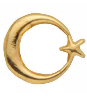 Vatan Rozet Ayyıldızlı Prinç VT634 (1 Adet)