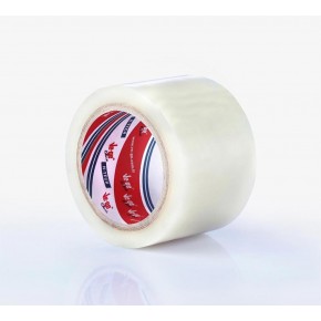 Vege Bant Sera Tamir 75x25 VEGE959